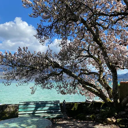 Au Bord Du Lac